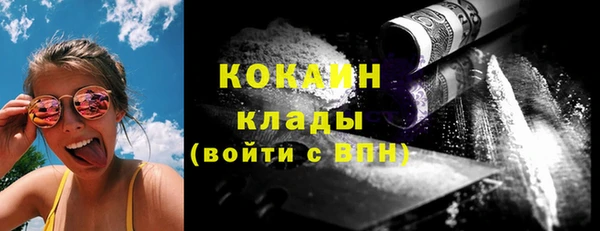 гашик Вяземский