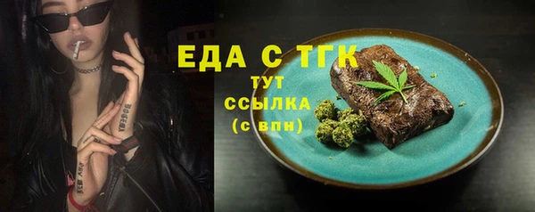 гашик Вяземский