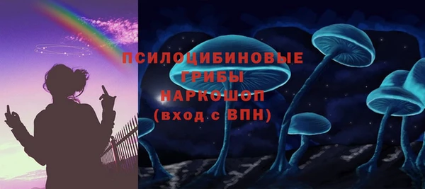 молекула духа Володарск