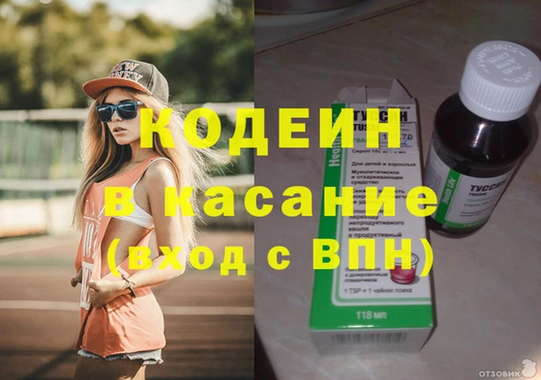 гашик Вяземский