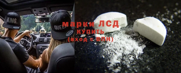 гашик Вяземский