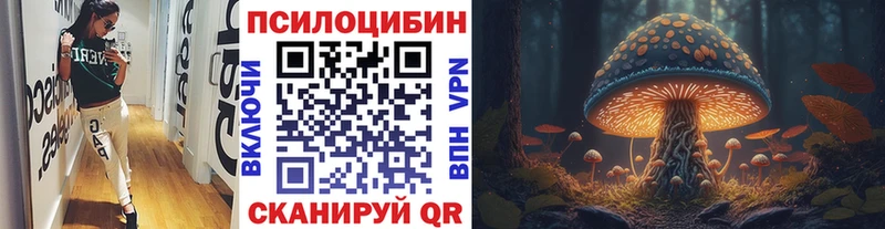 Галлюциногенные грибы Cubensis  Купить закладки  Владимир 